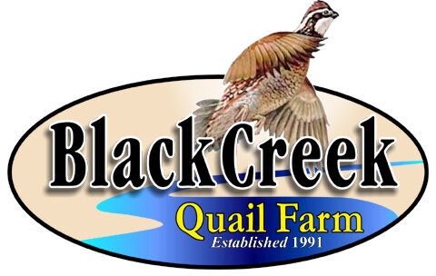 Black Creek Quail Farm