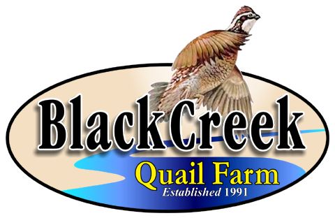 Black Creek Quail Farm